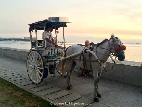 Kalesa, a traditional Filipino horse carriage offering rides 