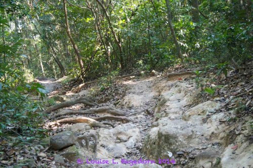 A defined, rocky trail